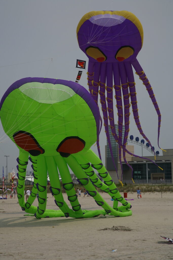 Wildwood Kite II