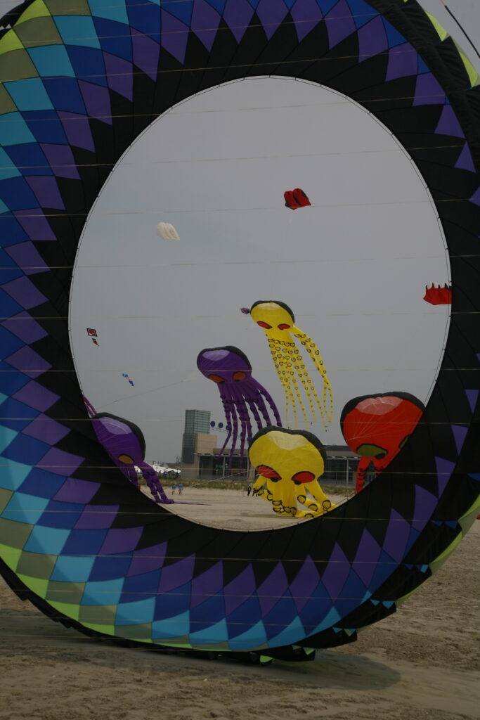 Wildwood Kite I