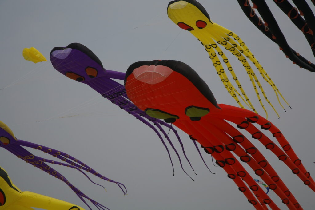 Wildwood Kite III