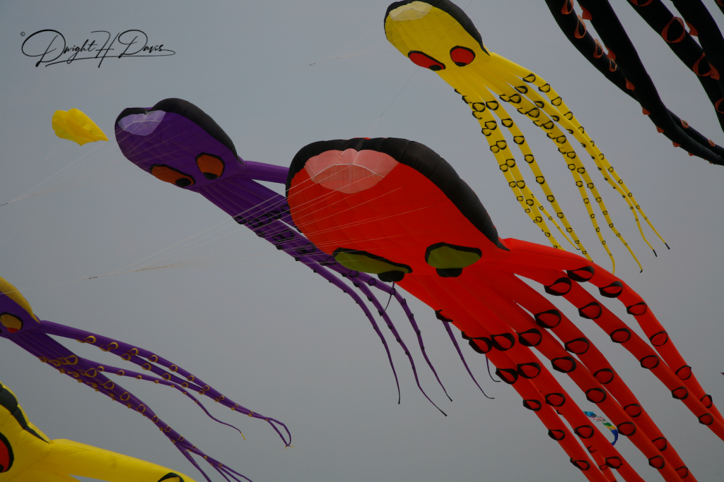 Wildwood Kite Festival
